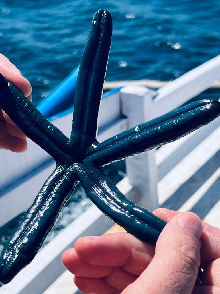 The Enchantment of Gili Pasir